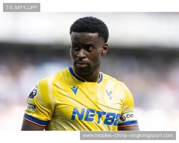 切尔西若在青训和引援中找到平衡,未来更加光明 切尔西若在青训和引援中找到平衡,未来更加光明