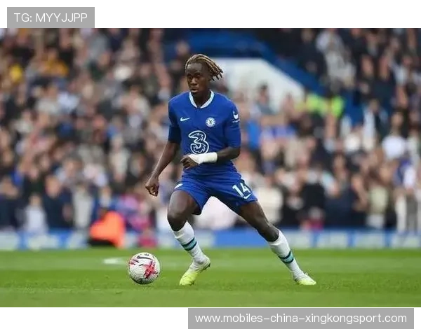 切尔西目标凯塞多成核心，布莱顿定价逼人