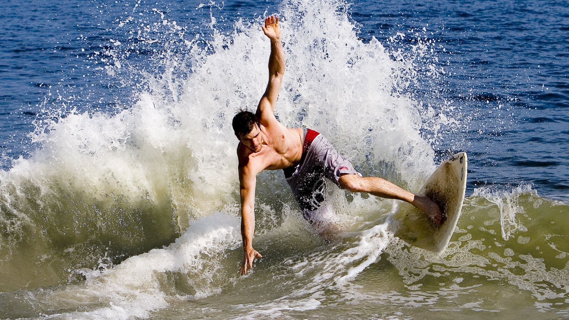 体育明星慈善事业